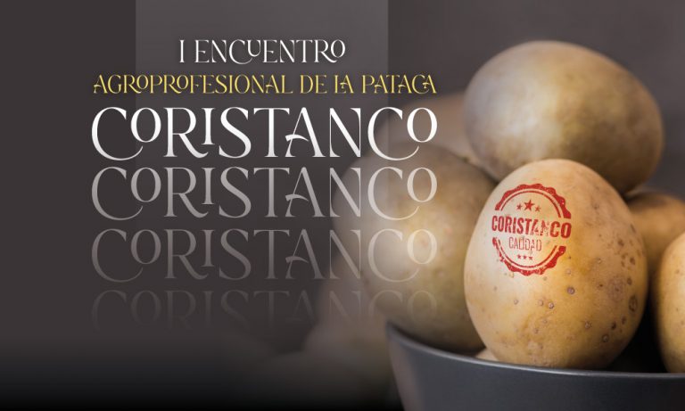 I Encuentro Agroprofesional de la Pataca de Coristanco